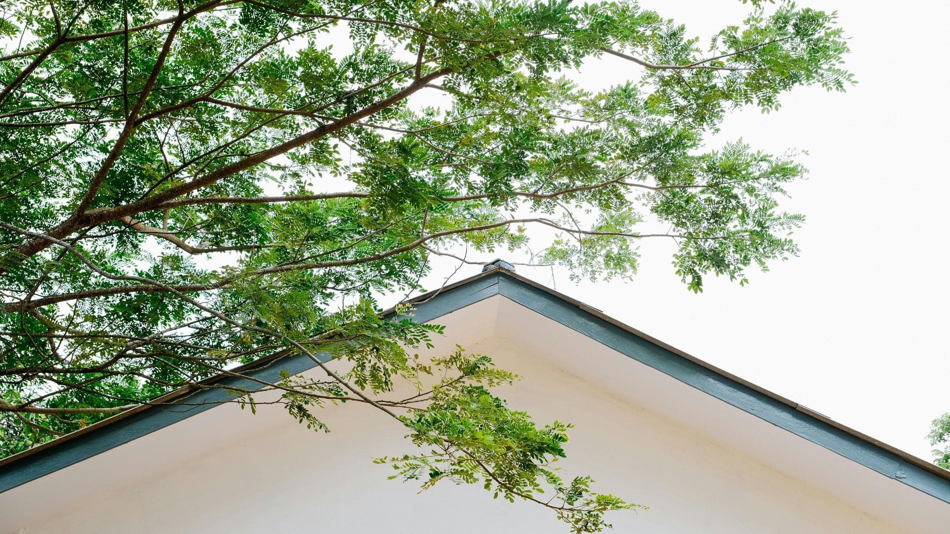 ガルバリウム鋼板の外壁選びで後悔しないためのポイント